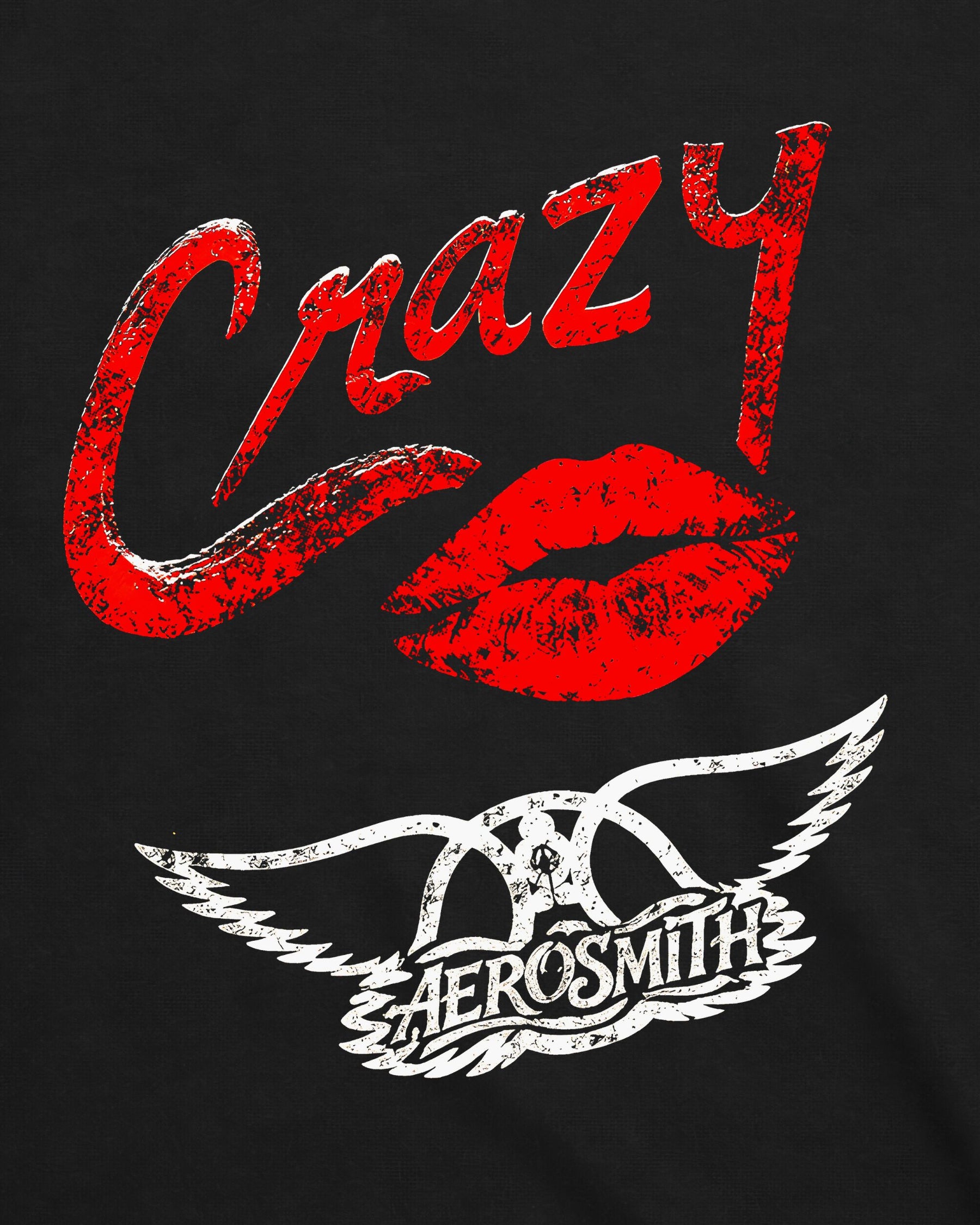 Camiseta Aerosmith – Crazy