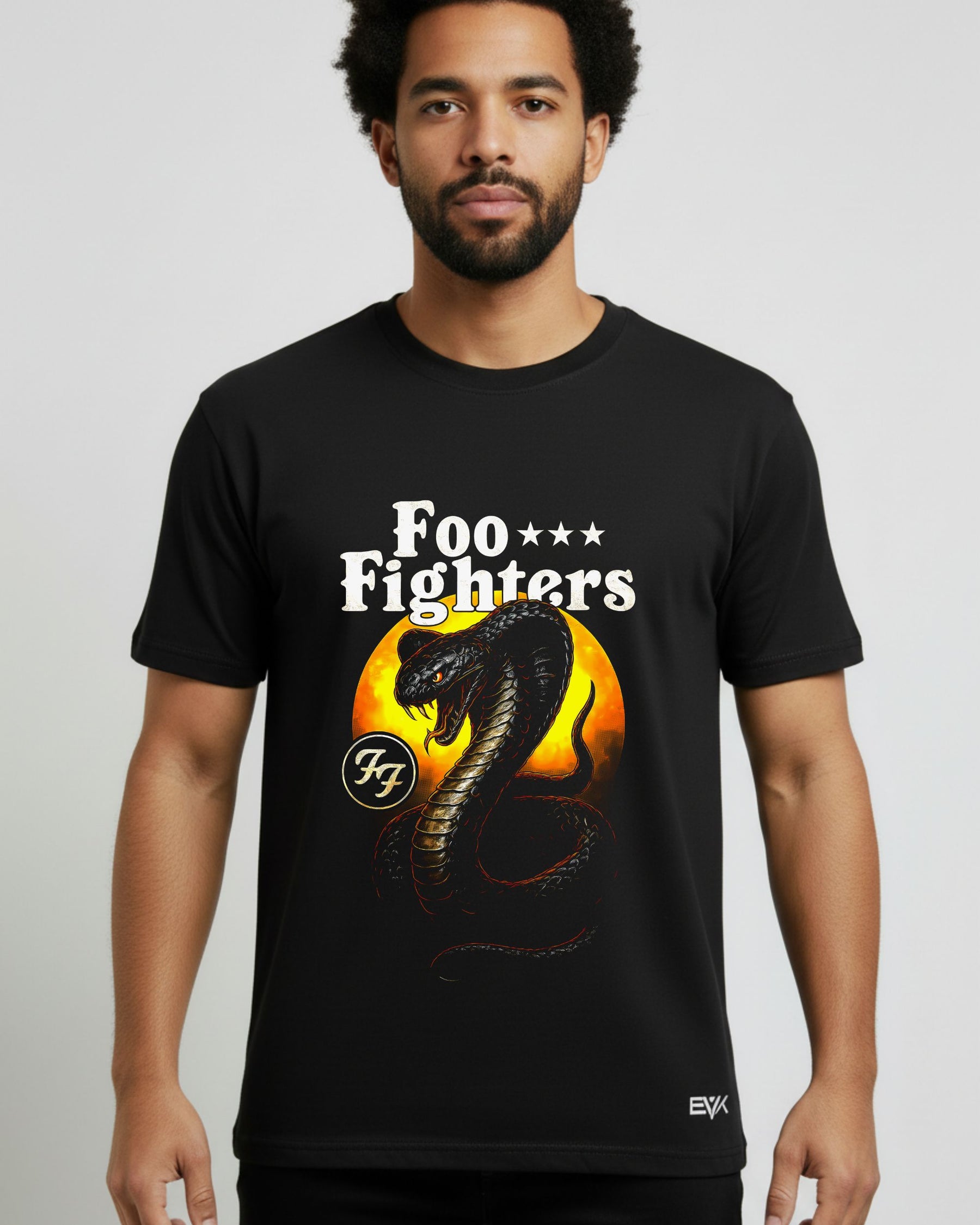 Camiseta Foo Fighters – Snake Sun