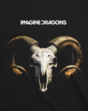 Camiseta Imagine Dragons – Radioactive
