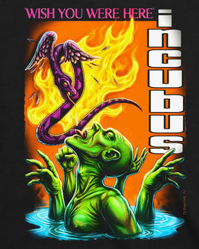 Camiseta Incubus – Wish You Were Here