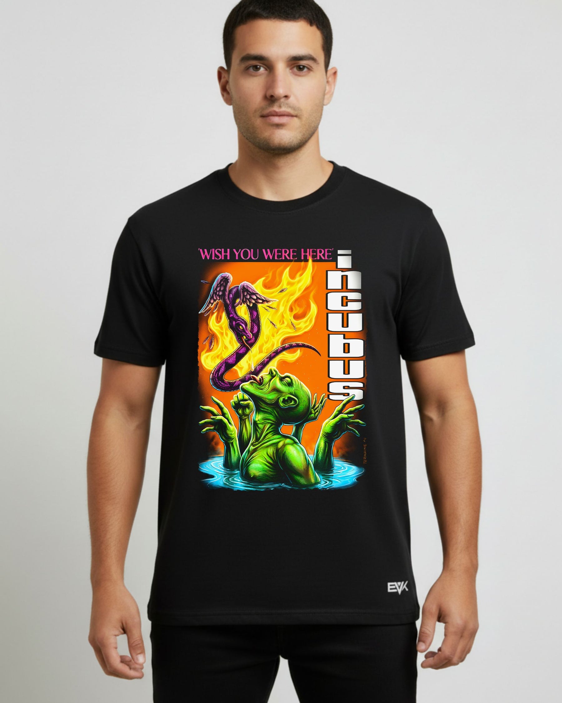 Camiseta Incubus – Wish You Were Here
