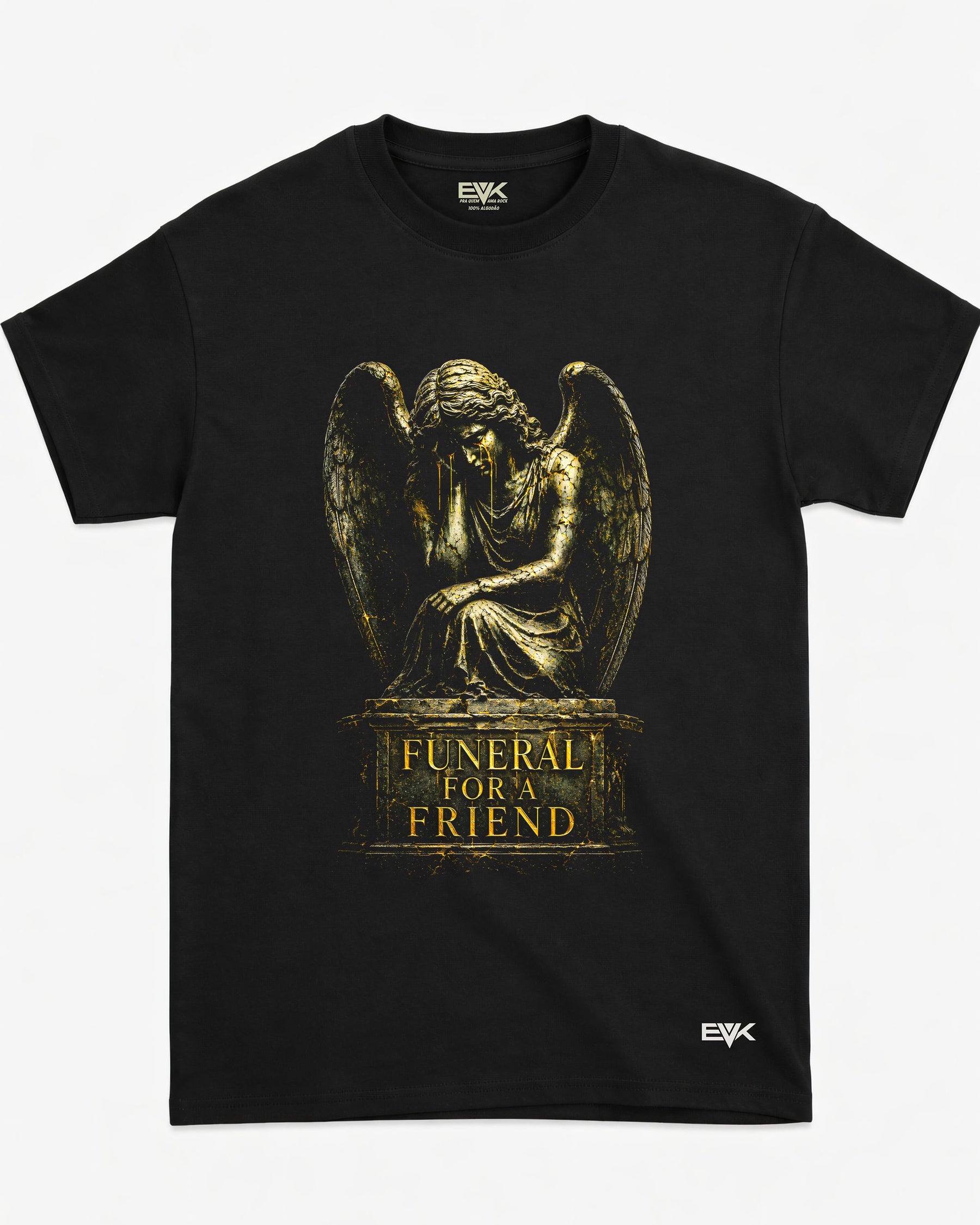 Camiseta Funeral For A Friend – History