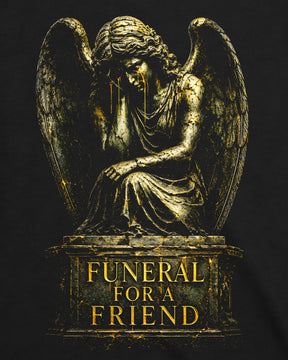 Camiseta Funeral For A Friend – History